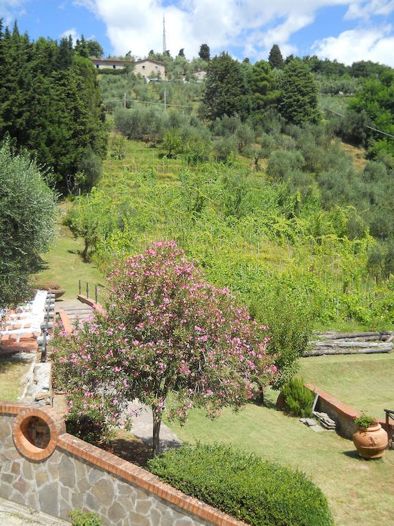 Nido D'Aquila Villa Collodi Exterior photo